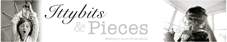 ittybits and pieces blog ittybits and pieces blog by siobhan connolly