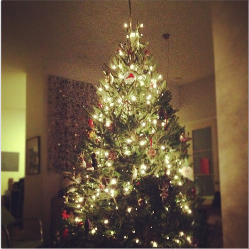 big_tree_c_liz_gumbinner